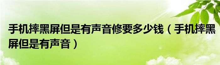 手机摔黑屏但是有声音修要多少钱(手机摔黑屏但是有声音)