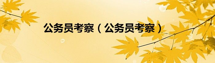 公务员考察（公务员考察）