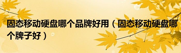 固态移动硬盘哪个品牌好用(固态移动硬盘哪个牌子好)