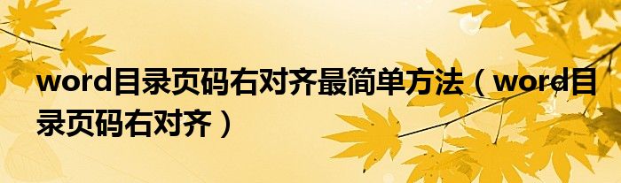 word目录页码右对齐最简单方法(word目录页码右对齐)