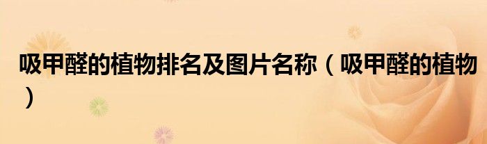 吸甲醛的植物排名及图片名称(吸甲醛的植物)