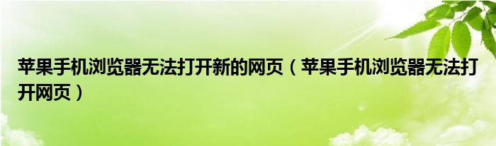 苹果手机浏览器无法打开新的网页(苹果手机浏览器无法打开网页)