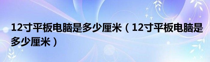 12寸平板电脑是多少厘米(12寸平板电脑是多少厘米)
