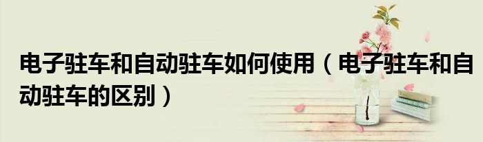 电子驻车和自动驻车如何使用(电子驻车和自动驻车的区别)