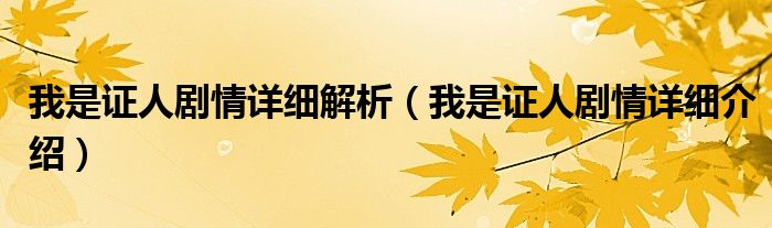 我是证人剧情详细解析(我是证人剧情详细介绍)