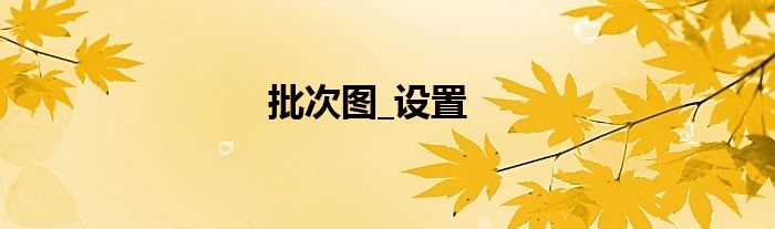 批次图_设置
