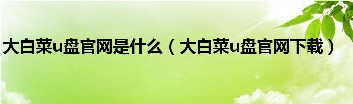 大白菜u盘官网是什么(大白菜u盘官网下载)