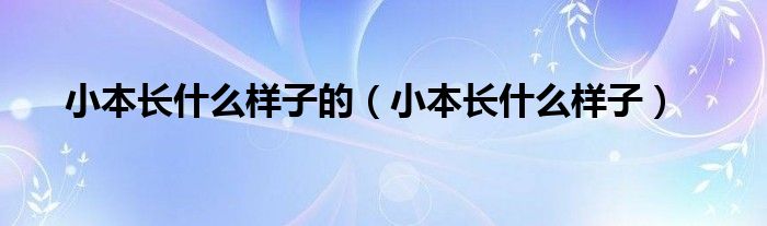 小本长什么样子的(小本长什么样子)