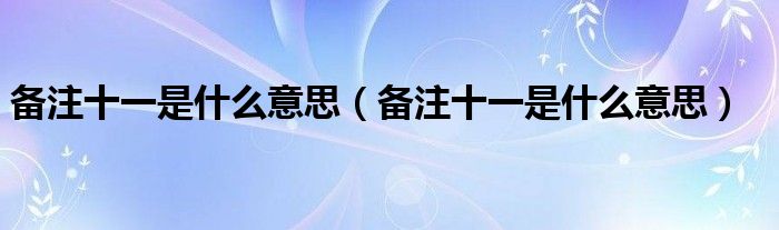 备注十一是什么意思(备注十一是什么意思)