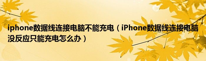 iphone数据线连接电脑不能充电(iPhone数据线连接电脑没反应只能充电怎么办)
