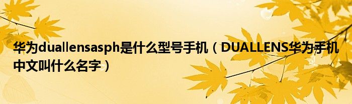 华为duallensasph是什么型号手机(DUALLENS华为手机中文叫什么名字)