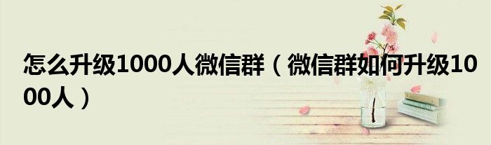 怎么升级1000人微信群(微信群如何升级1000人)