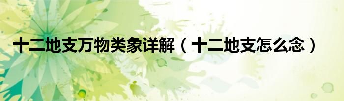 十二地支万物类象详解(十二地支怎么念)