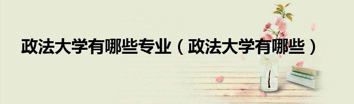 政法大学有哪些专业(政法大学有哪些)