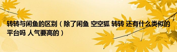 转转与闲鱼的区别(除了闲鱼 空空狐 转转 还有什么类似的平台吗 人气要高的)