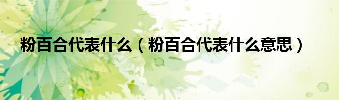 粉百合代表什么(粉百合代表什么意思)