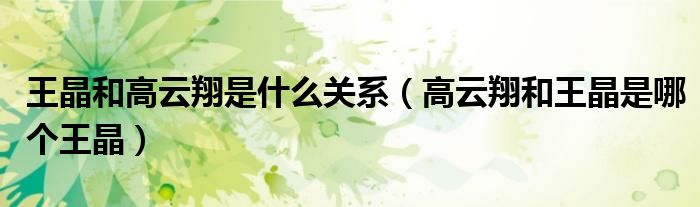 王晶和高云翔是什么关系(高云翔和王晶是哪个王晶)