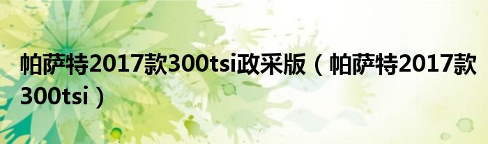 帕萨特2017款300tsi政采版(帕萨特2017款300tsi)