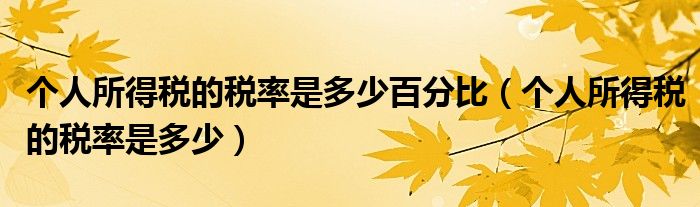 个人所得税的税率是多少百分比(个人所得税的税率是多少)