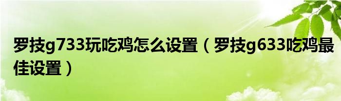 罗技g733玩吃鸡怎么设置(罗技g633吃鸡最佳设置)