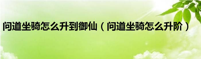 问道坐骑怎么升到御仙(问道坐骑怎么升阶)