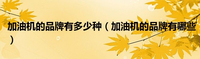 加油机的品牌有多少种(加油机的品牌有哪些)