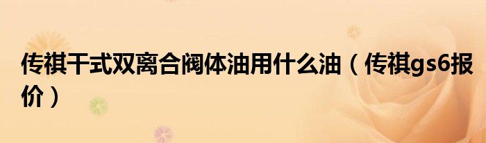传祺干式双离合阀体油用什么油(传祺gs6报价)