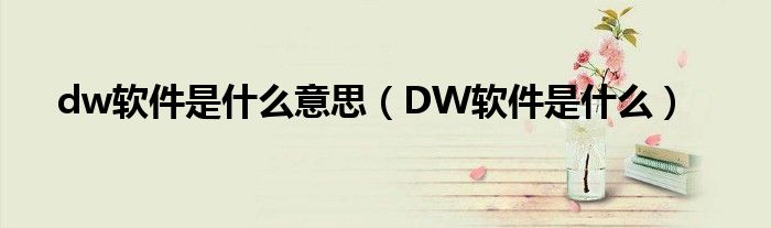 dw软件是什么意思(DW软件是什么)