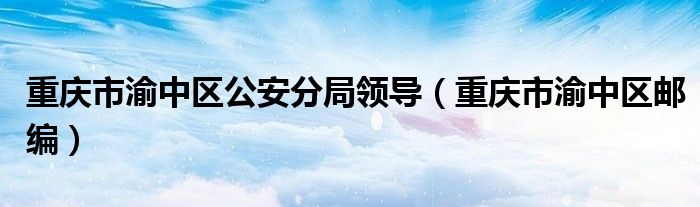重庆市渝中区公安分局领导(重庆市渝中区邮编)