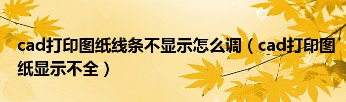 cad打印图纸线条不显示怎么调(cad打印图纸显示不全)