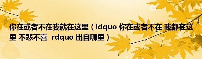 你在或者不在我就在这里(ldquo 你在或者不在 我都在这里 不悲不喜 rdquo 出自哪里)
