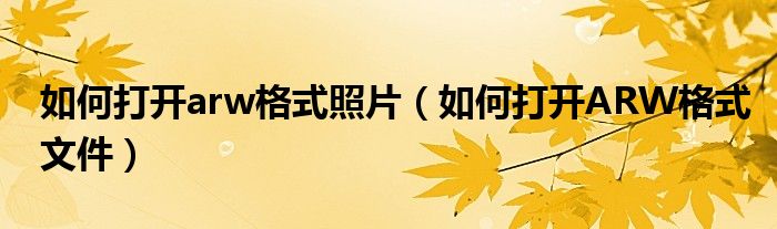 如何打开arw格式照片(如何打开ARW格式文件)