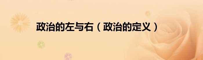 政治的左与右(政治的定义)