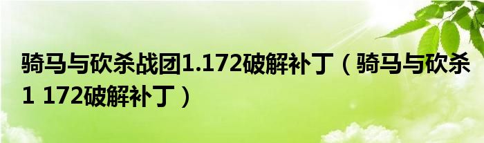 骑马与砍杀战团1.172破解补丁(骑马与砍杀1 172破解补丁)