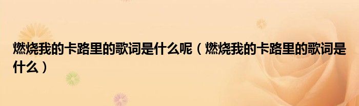 燃烧我的卡路里的歌词是什么呢(燃烧我的卡路里的歌词是什么)