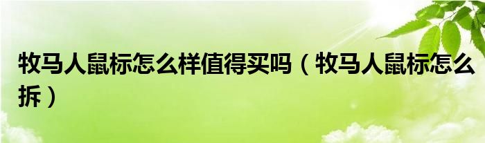 牧马人鼠标怎么样值得买吗(牧马人鼠标怎么拆)