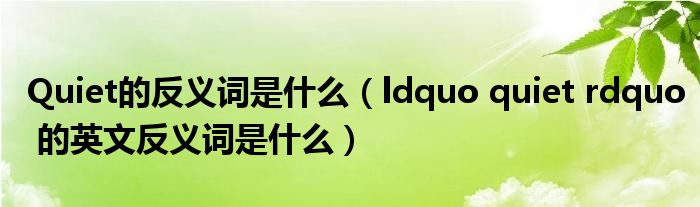 Quiet的反义词是什么(ldquo quiet rdquo 的英文反义词是什么)