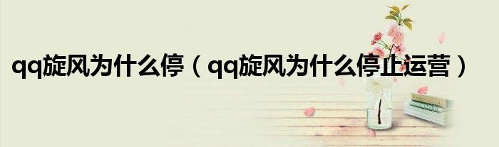 qq旋风为什么停(qq旋风为什么停止运营)