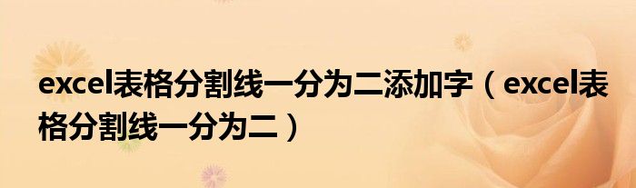 excel表格分割线一分为二添加字(excel表格分割线一分为二)