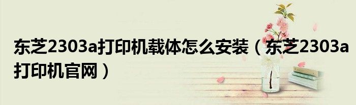 东芝2303a打印机载体怎么安装(东芝2303a打印机官网)