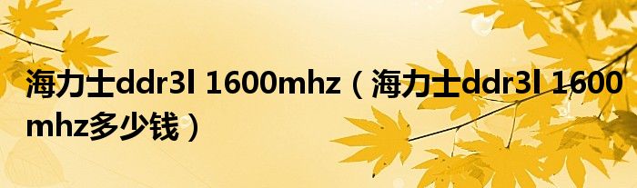 海力士ddr3l 1600mhz(海力士ddr3l 1600mhz多少钱)