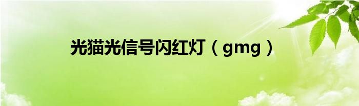 光猫光信号闪红灯(gmg)