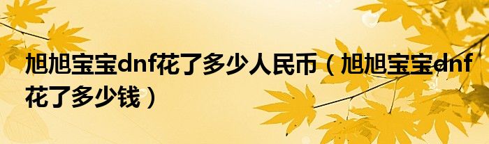 旭旭宝宝dnf花了多少人民币(旭旭宝宝dnf花了多少钱)