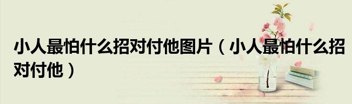 小人最怕什么招对付他图片(小人最怕什么招对付他)