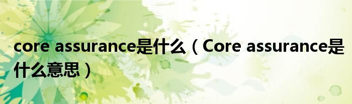 core assurance是什么(Core assurance是什么意思)