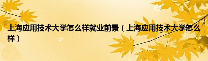 上海应用技术大学怎么样就业前景(上海应用技术大学怎么样)