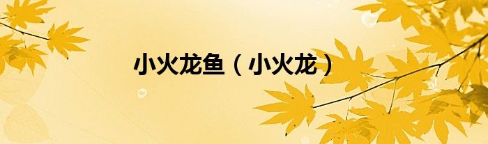 小火龙鱼（小火龙）