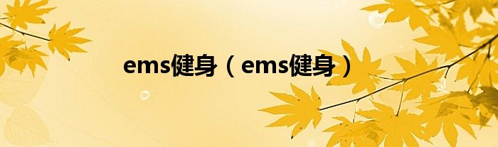 ems健身(ems健身)