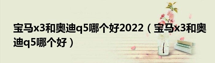 宝马x3和奥迪q5哪个好2022(宝马x3和奥迪q5哪个好)