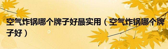 空气炸锅哪个牌子好最实用(空气炸锅哪个牌子好)